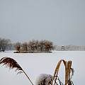 瑞雪丰年