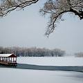 瑞雪丰年