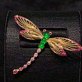 设计款的珠宝级蜻蜓