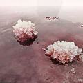 镁花，是硫酸镁的结晶体，隆冬时节生成，色呈粉色，晶莹剔透，状若水晶，放眼望去...