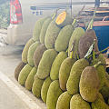 最大的热带水果批发市场了解一下@西双版纳