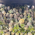 最大的热带水果批发市场了解一下@西双版纳