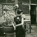 1939年京城的青楼女子。喜欢看老照片喜欢旗袍喜欢摄影的可以看两眼,还是挺美...