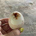 温泉♨煮鸡蛋🥚是一道美食 • 温泉60多度左右，把蛋壳敲开时，会惊奇的发现蛋...
