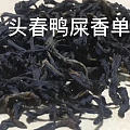 我们家乡的茶