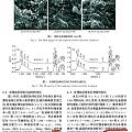 优化的绿松石先进到无法检测了吗？恭请大神师傅