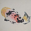 自找的新乐子，给我最宝贝的兰寿金鱼亲手画的肖像画～可可爱爱！