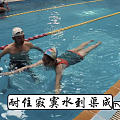 42岁，两周，我终于学会了游泳🏊‍♀️🏊‍♀️