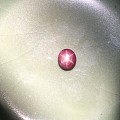 11.6ct斯里兰卡天然星光红宝石