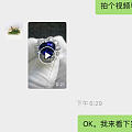 续上次歪爪的镶嵌，修完了