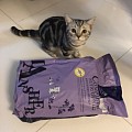 有没有好的国产猫粮推荐？