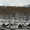 禾木村的昨天还是秋天，一夜就入了冬。想再去一次新疆，想去禾木守着暖炉看雪。新...