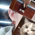 手作的快乐