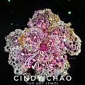 cindy Chao 重器啊