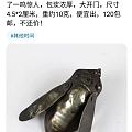 咸鱼上的故事