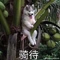 求推荐好看的微信公众号