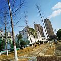 机关院落里晒太阳