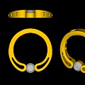用JCAD珠宝设计软件设计的原创首饰模型（十)