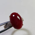 日本阿卡珊瑚顶级黑赤血色戒指