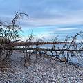 若得夕阳无限好，何须惆怅近黄昏。沿着安大略湖岸没有目的地一直走