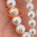 珍珠上这是长了什么东西吗