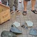 小孩踩碎地上展石被索赔80万，是碰瓷还是正当维权？
