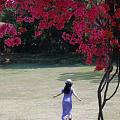日常旗袍之花罗