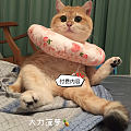 猛男粉上线