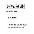 孙颖莎赢了之后就在伊藤美诚耳边说“你妈妈这些年都是骗你的 我才是你亲妈”