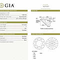 2.02 F VS1 3EX N 
台宽比 直径 冠部角等等
都无可挑剔 代...