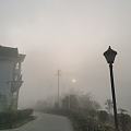 大雾笼罩的早晨