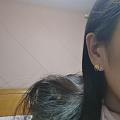 明牌小燕子系列