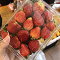 菜市场18一斤的草莓
