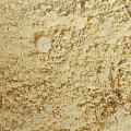 小米磨成的面粉