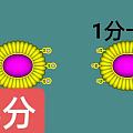 舒俱来三连珍珠扣