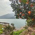 中国橙谷～湖北秭归～中华红橙
新年第一趟橙子，哈哈