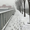 春天来北京看雪吧！