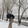 春天来北京看雪吧！
