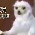 上 海 六 院 “丁 丁 保 卫 战”