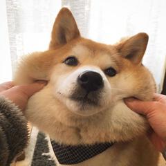 。。。