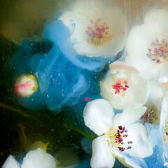 crystal嘟嘟脸