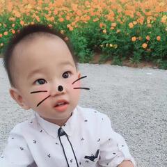 David小猪不狂