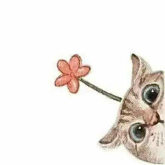 石榴枝上花