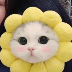 牛牛是蘑菇