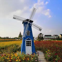 绯缘亦梦