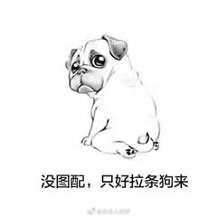 小土豆01
