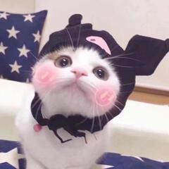 圈圈999