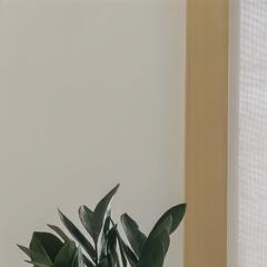 慎独888