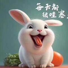 燕南飞888