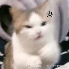 钮钴禄大鹅